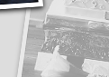 Copyright © 2007 - 2015 The Love Knot