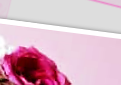 Copyright © 2007 - 2015 The Love Knot