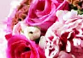 Copyright © 2007 - 2015 The Love Knot